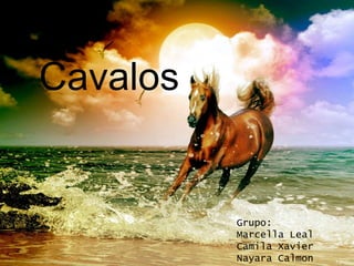 Cavalos
Grupo:
Marcella Leal
Camila Xavier
Nayara Calmon
 