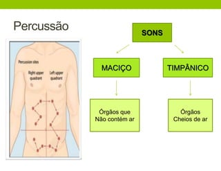 Percussão SONS
MACIÇO TIMPÂNICO
Órgãos que
Não contém ar
Órgãos
Cheios de ar
 