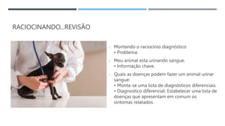 RACIOCINANDO...REVISÃO
o Montando o raciocínio diagnóstico
• Problema:
o Meu animal esta urinando sangue.
• Informação chave.
o Quais as doenças podem fazer um animal urinar
sangue:
• Monta-se uma lista de diagnósticos diferenciais.
• Diagnostico diferencial: Estabelecer uma lista de
doenças que apresentam em comum os
sintomas relatados.
 