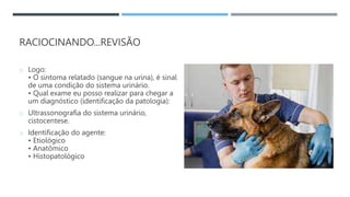 RACIOCINANDO...REVISÃO
o Logo:
• O sintoma relatado (sangue na urina), é sinal
de uma condição do sistema urinário.
• Qual exame eu posso realizar para chegar a
um diagnóstico (identificação da patologia):
o Ultrassonografia do sistema urinário,
cistocentese.
o Identificação do agente:
• Etiológico
• Anatômico
• Histopatológico
 