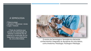 A SEMIOLOGIA
• Palavra grega:
• sēmeîon = Sintomas / sinais
• Logía = Estudo
• Parte da medicina que
através da interpretação de
exames e sintomas faz-se
possível a construção de um
diagnóstico para tratamento
de uma enfermidade. O ensino da Semiologia e Semiotécnica demanda
conhecimentos integrados às disciplinas do ciclo básico,
como Anatomia, Histologia, Fisiologia e Patologia.
 