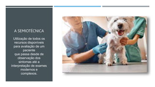 A SEMIOTÉCNICA
Utilização de todos os
recursos disponíveis
para avaliação de um
paciente
que passa desde de
observação dos
sintomas até a
interpretação de exames
modernos e
complexos.
 