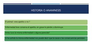 HISTORIA O ANAMNESIS
El animal =ene apetito o no ?
Enfermedad leve conserva el apetito, en grave lo pierde o disminuye.
Antes tuvo la misma enfermedad o alguna parecida?
Si ha sufrido la misma enfermedad nos puede decir que la causa o las consecuencias persisten.
 