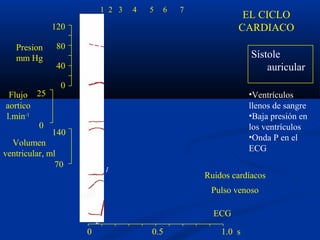 Pulso venoso
120
80
40
0
140
70
25
0
Ruidos cardíacos
Presion
mm Hg
Flujo
aortico
l.min-1
Volumen
ventricular, ml
ECG
a
R
Q
P
14
0 0.5 1.0 s
1 2 3 4 5 6 7
Sístole
auricular
EL CICLO
CARDIACO
•Ventrículos
llenos de sangre
•Baja presión en
los ventrículos
•Onda P en el
ECG
 