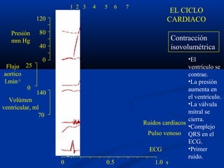 120
80
40
0
140
70
25
0
ECG
a
R
Q S
P
14
La
válvula
mitral
se
cierra
0 0.5 1.0 s
1 2 3 4 5 6 7
Contracción
isovolumétrica
•El
ventrículo se
contrae.
•La presión
aumenta en
el ventrículo.
•La válvula
mitral se
cierra.
•Complejo
QRS en el
ECG.
•Primer
ruido.
Presión
mm Hg
Flujo
aortico
l.min-1
Volúmen
ventricular, ml
Ruidos cardíacos
Pulso venoso
EL CICLO
CARDIACO
 