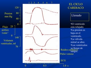 120
80
40
0
140
70
25
0
a c v
R
Q S
P T P
1 2 34
La valvula
mitral se
abre
0 0.5 1.0 s
1 2 3 4 5 6 7
Llenado
•El ventrículo
esta relajado.
•La presion es
baja en el
ventrículo.
•La válvula
mitral se abre.
•Los ventrículos
se llenan de
sangre.
Presion
mm Hg
Flujo
aortico
l.min-1
Volumen
ventricular, ml
Ruidos cardíacos
Pulso venoso
EL CICLO
CARDIACO
ECG
La valvula
aortica se
cierra
valvula
aortica
abre
Valvula
mitral
cierra
 
