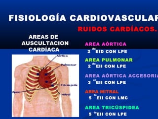 RUIDOS CARDÍACOS.
FISIOLOGÍA CARDIOVASCULAR
AREAS DE
AUSCULTACION
CARDÍACA
AREA AÓRTICA
AREA PULMONAR
AREA AÓRTICA ACCESORIA
AREA MITRAL
AREA TRICÚSPIDEA
2 EID CON LPE
2 EII CON LPE
3 EII CON LPE
5 EII CON LMC
5 EII CON LPE
do
do
er
to
to
 