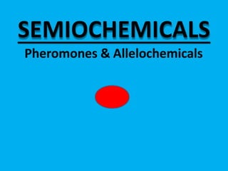SEMIOCHEMICALS
Pheromones & Allelochemicals
 