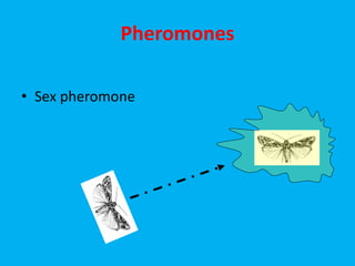 Pheromones
• Sex pheromone
 