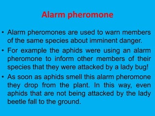 Alarm pheromone
• Alarm pheromones are used to warn members
of the same species about imminent danger.
• For example the aphids were using an alarm
pheromone to inform other members of their
species that they were attacked by a lady bug!
• As soon as aphids smell this alarm pheromone
they drop from the plant. In this way, even
aphids that are not being attacked by the lady
beetle fall to the ground.
 