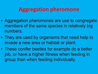 Aggregation pheromone
• Aggregation pheromones are use to congregate
members of the same species in relatively big
numbers.
• They are used by organisms that need help to
invade a new area or habitat or plant.
• These conifer beetles for example do a better
job, or have a higher fitness when feeding in
group than when feeding individually.
 