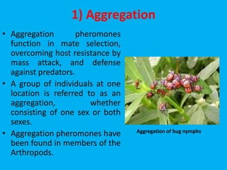 1) Aggregation
• Aggregation pheromones
function in mate selection,
overcoming host resistance by
mass attack, and defense
against predators.
• A group of individuals at one
location is referred to as an
aggregation, whether
consisting of one sex or both
sexes.
• Aggregation pheromones have
been found in members of the
Arthropods.
Aggregation of bug nymphs
 