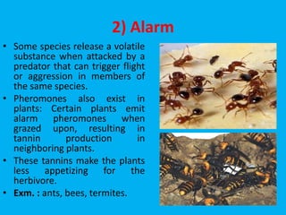 2) Alarm
• Some species release a volatile
substance when attacked by a
predator that can trigger flight
or aggression in members of
the same species.
• Pheromones also exist in
plants: Certain plants emit
alarm pheromones when
grazed upon, resulting in
tannin production in
neighboring plants.
• These tannins make the plants
less appetizing for the
herbivore.
• Exm. : ants, bees, termites.
 