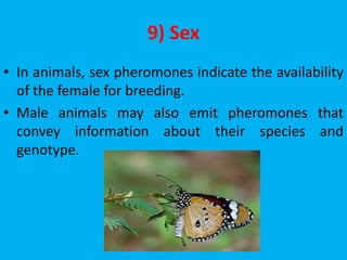 9) Sex
• In animals, sex pheromones indicate the availability
of the female for breeding.
• Male animals may also emit pheromones that
convey information about their species and
genotype.
 