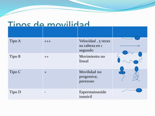 Semiograma PPTX Semiograma PPTX