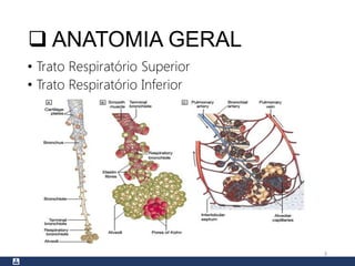  ANATOMIA GERAL
• Trato Respiratório Superior
• Trato Respiratório Inferior
3
 