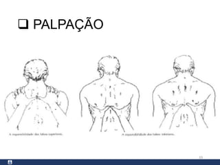  PALPAÇÃO
33
 