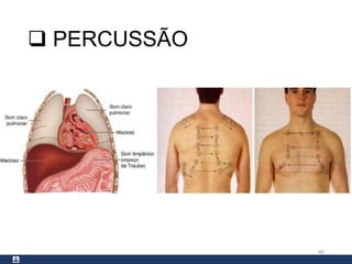  PERCUSSÃO
40
 
