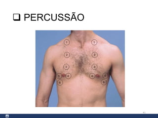  PERCUSSÃO
41
 