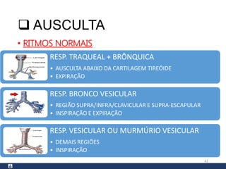  AUSCULTA
• RITMOS NORMAIS
42
RESP. TRAQUEAL + BRÔNQUICA
• AUSCULTA ABAIXO DA CARTILAGEM TIREÓIDE
• EXPIRAÇÃO
RESP. BRONCO VESICULAR
• REGIÃO SUPRA/INFRA/CLAVICULAR E SUPRA-ESCAPULAR
• INSPIRAÇÃO E EXPIRAÇÃO
RESP. VESICULAR OU MURMÚRIO VESICULAR
• DEMAIS REGIÕES
• INSPIRAÇÃO
 