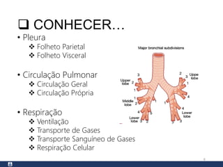  CONHECER…
• Pleura
 Folheto Parietal
 Folheto Visceral
• Circulação Pulmonar
 Circulação Geral
 Circulação Própria
• Respiração
 Ventilação
 Transporte de Gases
 Transporte Sanguíneo de Gases
 Respiração Celular
6
 