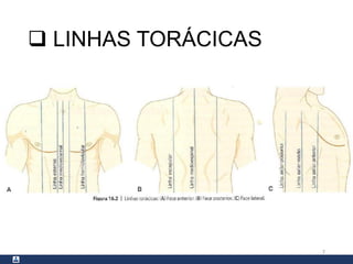  LINHAS TORÁCICAS
7
 