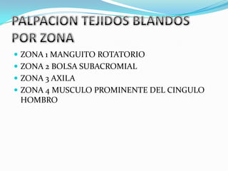  ZONA 1 MANGUITO ROTATORIO
 ZONA 2 BOLSA SUBACROMIAL
 ZONA 3 AXILA
 ZONA 4 MUSCULO PROMINENTE DEL CINGULO
 HOMBRO
 