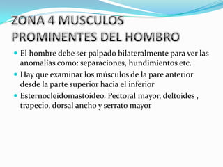  El hombre debe ser palpado bilateralmente para ver las
  anomalías como: separaciones, hundimientos etc.
 Hay que examinar los músculos de la pare anterior
  desde la parte superior hacia el inferior
 Esternocleidomastoideo. Pectoral mayor, deltoides ,
  trapecio, dorsal ancho y serrato mayor
 