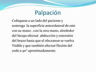 Palpación
Colóquese a un lado del paciente y
sostenga la superficie anterolateral de este
con su mano , con la otra mano, alrededor
del bíceps efectué abducción y extensión
del brazo hasta que el olecranon se vuelva
Visible y que también efectué flexión del
codo a 90° aproximadamente.
 