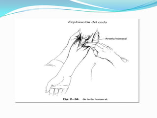  Semiologia de hombro y codo