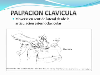  Moverse en sentido lateral desde la
 articulación esternoclavicular
 