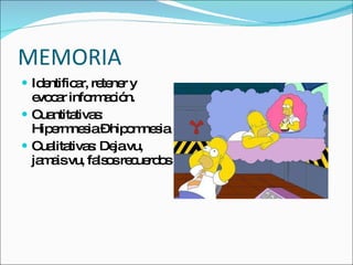 MEMORIA Identificar, retener y evocar información. Cuantitativas: Hipermnesia – hipomnesia Cualitativas: Deja vu, jamais vu, falsos recuerdos 
