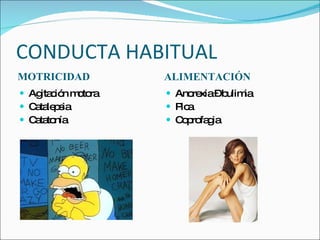 CONDUCTA HABITUAL MOTRICIDAD  ALIMENTACIÓN Agitación motora Catalepsia Catatonía Anorexia – bulimia Pica Coprofagia 
