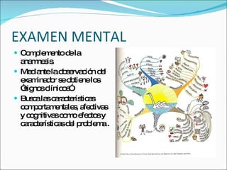 EXAMEN MENTAL Complemento de la anamnesis. Mediante la observación del examinador se obtiene los “signos clínicos”. Busca las características comportamentales, afectivas y cognitivas como efectos y características del problema . 