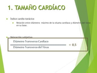 1. TAMAÑO CARDÍACO
 Índice cardio-torácico
 Relación entre diámetro máximo de la silueta cardíaca y diámetro del tórax
en su base.
 Valoración subjetiva
Diámetro Transverso Cardíaco
Diámetro Transverso del Tórax
= 0,5
 