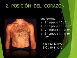 2. POSICIÓN DEL CORAZÓN
AREA PRECORDIAL
A. 2° espacio I.D.: 2 cm.
B. 5° espacio I.D.: 2 cm
C. 2° espacio I.I.: 2 cm.
D. 5° espacio I.I.: 8-10
cm
A-D : 12-13 cm.
B-C : 10-11 cm.
 