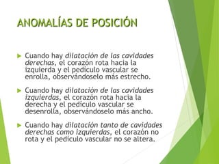 ANOMALÍAS DE POSICIÓN
 Cuando hay dilatación de las cavidades
derechas, el corazón rota hacia la
izquierda y el pedículo vascular se
enrolla, observándoselo más estrecho.
 Cuando hay dilatación de las cavidades
izquierdas, el corazón rota hacia la
derecha y el pedículo vascular se
desenrolla, observándoselo más ancho.
 Cuando hay dilatación tanto de cavidades
derechas como izquierdas, el corazón no
rota y el pedículo vascular no se altera.
 