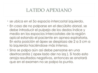 LATIDO APEXIANO

• se ubica en el 5o espacio intercostal izquierdo.
• En caso de no palparse en el decúbito dorsal, se
  debe introducir el pulpejo de los dedos índice y
  medio en los espacios intercostales de la región
  apical estando el paciente en apnea espiratoria.
  En esta posición el ápex se desplaza de 2 a 5 cm a
  la izquierda haciéndose más intenso.
• Sino se palpa aún así debe pensarse en una
  dextrocardia ( apex lado der no izq ). Si todo esto
  arroja resultados negativos, entonces se anotará
  que en el examen no se palpa la punta.
 