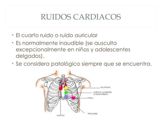 RUIDOS CARDIACOS

• El cuarto ruido o ruido auricular
• Es normalmente inaudible (se ausculta
  excepcionalmente en niños y adolescentes
  delgados).
• Se considera patológico siempre que se encuentra.
 