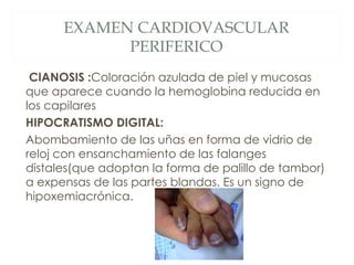 EXAMEN CARDIOVASCULAR
            PERIFERICO
 CIANOSIS :Coloración azulada de piel y mucosas
que aparece cuando la hemoglobina reducida en
los capilares
HIPOCRATISMO DIGITAL:
Abombamiento de las uñas en forma de vidrio de
reloj con ensanchamiento de las falanges
distales(que adoptan la forma de palillo de tambor)
a expensas de las partes blandas. Es un signo de
hipoxemiacrónica.
 