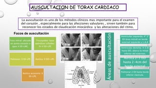 AUSCULTACION DE TORAX CARDIACO
La auscultación es uno de los métodos clínicos mas importante para el examen
del corazón , ...