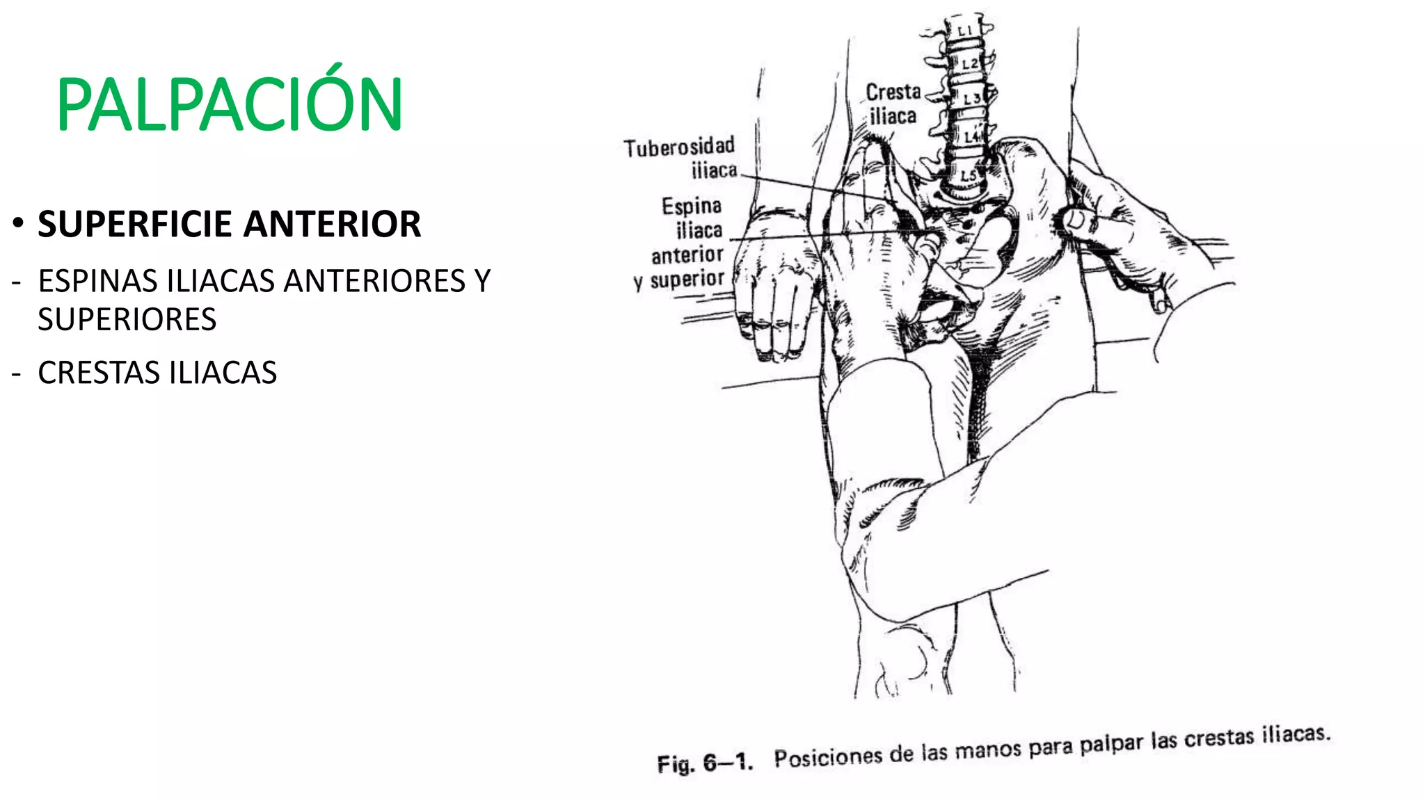 ncert physics class 12 pdf part 2