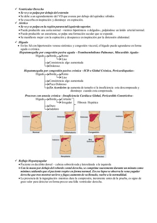 Semiología del Aparato Cardiovascular | DOCX