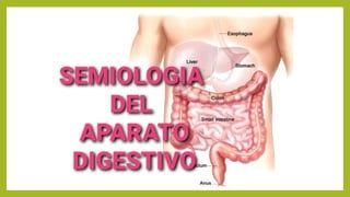 SEMIOLOGÍA del Aparato Digestivo Dra. Carrillo.pptx