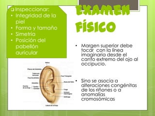 Semiología del oido