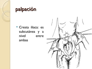 palpación


   Cresta iliaca: es
    subcutánea y a
    nivel       entre
    ambas
 