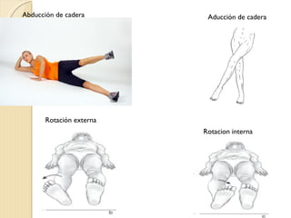 Abducción de cadera        Aducción de cadera




       Rotación externa
                          Rotacion interna
 