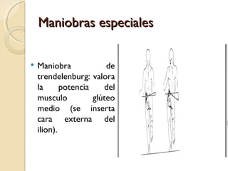 Maniobras especiales

   Maniobra             de
    trendelenburg: valora
    la      potencia    del
    musculo          glúteo
    medio (se inserta
    cara externa del
    ilion).
 