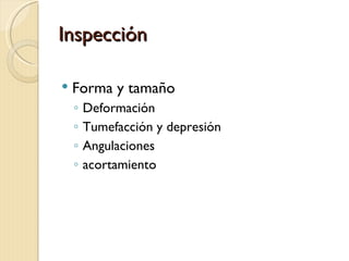 Inspección

   Forma y tamaño
    ◦   Deformación
    ◦   Tumefacción y depresión
    ◦   Angulaciones
    ◦   acortamiento
 
