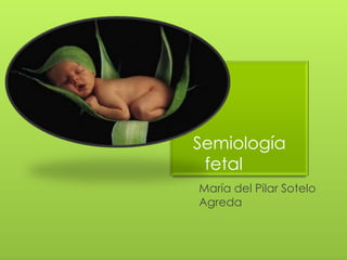 Semiología fetal	 María del Pilar Sotelo Agreda 
